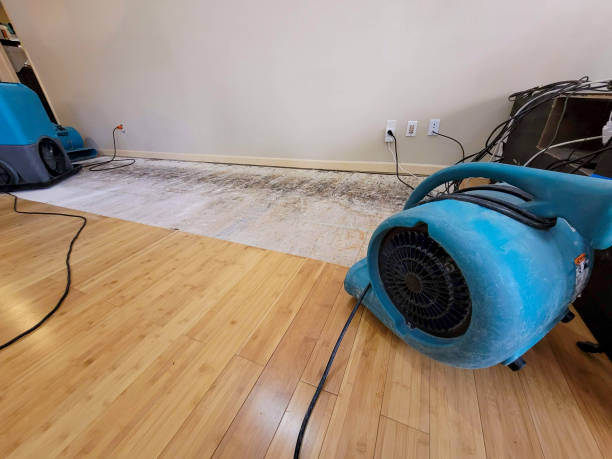 Professional Sewage Cleanup technician working in East Greenville, PA